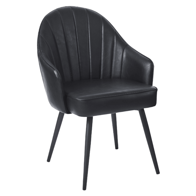 Sylvia Metal Lounge Chair